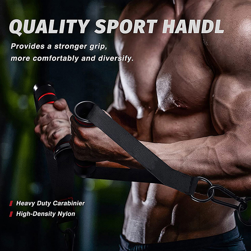 1Set D-Ring Metal Gym Handles  - D Ring Strap review and price